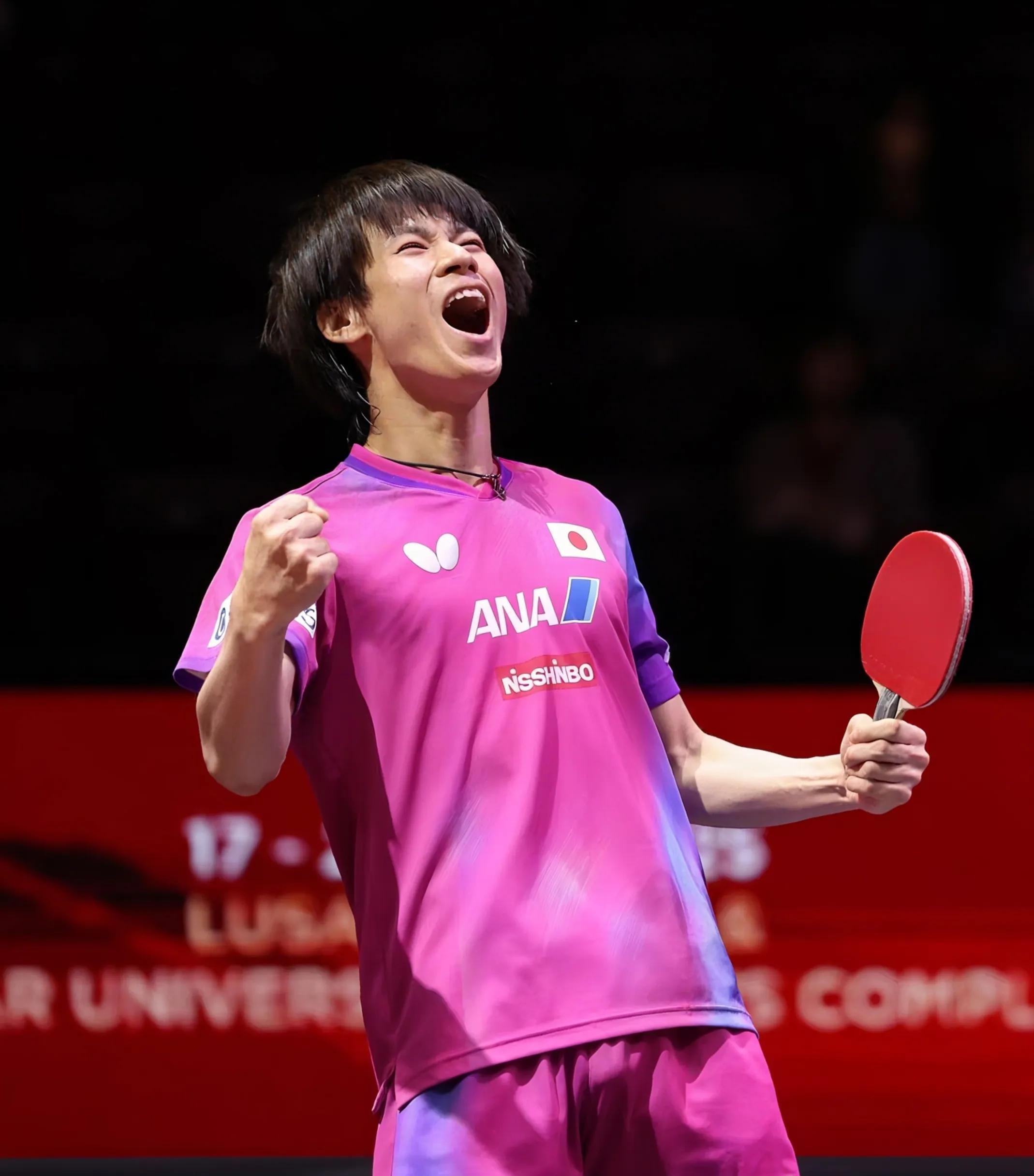 奥地利队绝杀瑞典队，梁靖崑高光表现的简单介绍