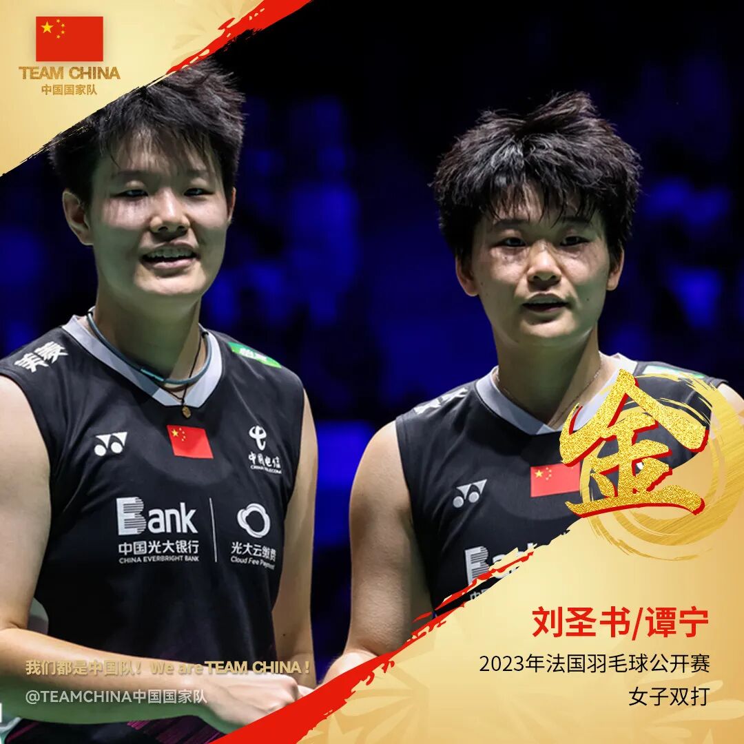 法国队力克德国队，戴资颖扛起全队的简单介绍