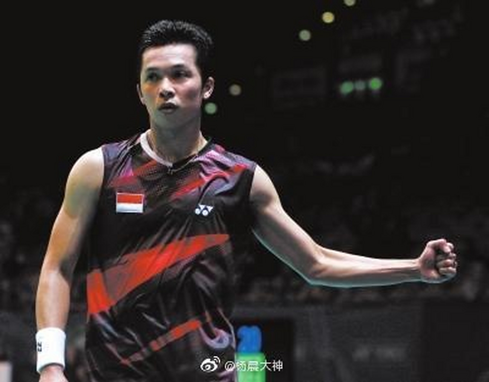 关于泰国羽毛球队鏖战印度羽毛球队，陶菲克高光表现的信息