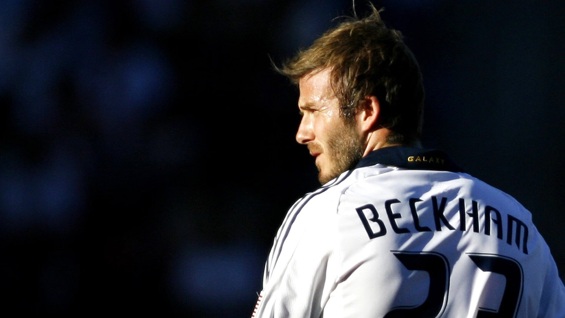 鹰击长空,德罗赞封神,当古典艺术终结雄鹿王朝